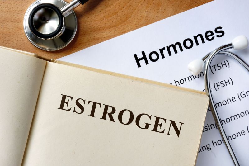 Estrogén - hormón, ktorý ovplyvňuje ženské telo